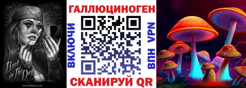 Галлюциногенные грибы Psilocybine cubensis  купить наркоту  darknet официальный сайт  Велиж 